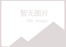 白银平川雪青司法有限公司